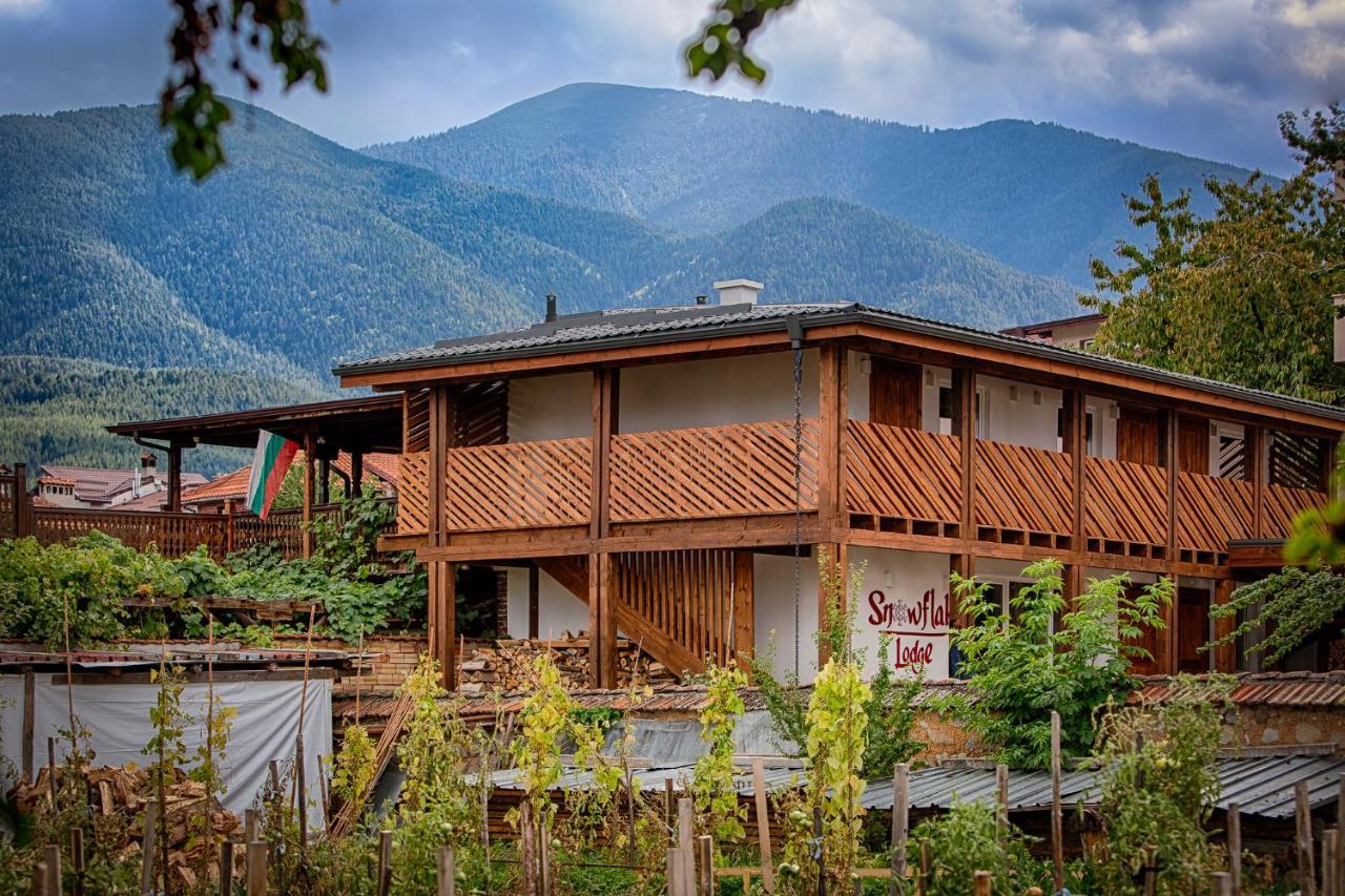 Къщи За Гости Сноуфлейк Snowflake Chalet And Snowflake Lodge Banszko Kültér fotó
